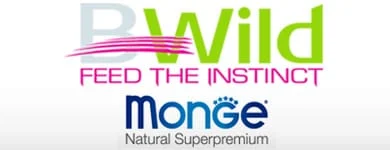 logo-bwild