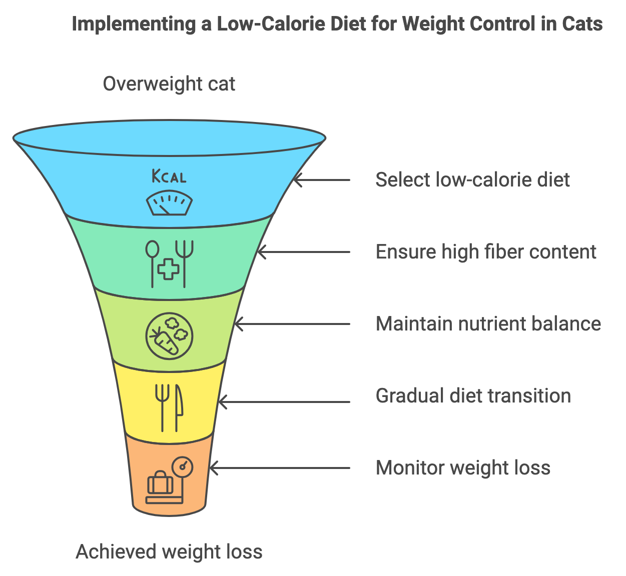 Implementing a Low-Calorie Diet for Weight Control in Cats