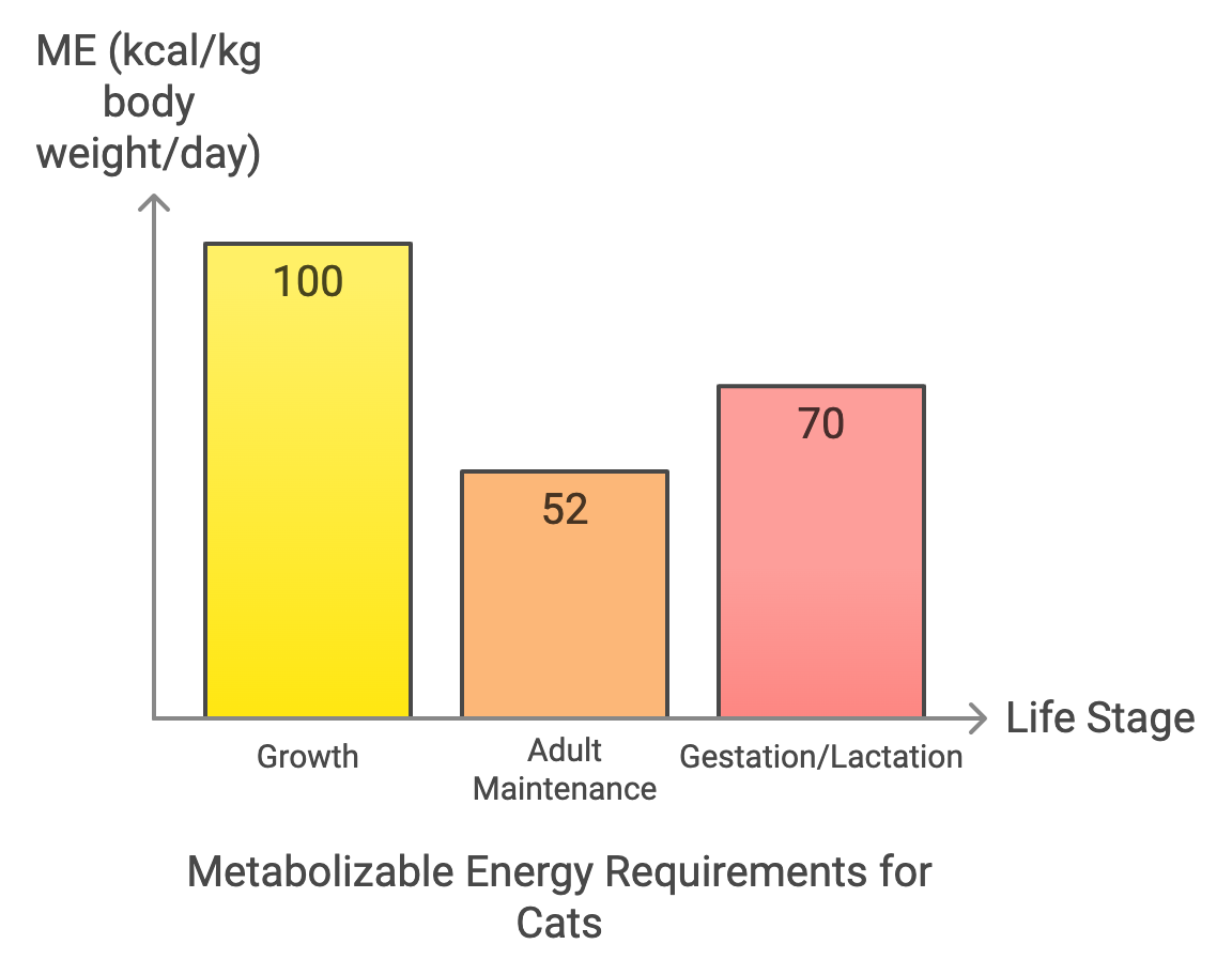 Metabolizable Energy Requirements for Cats