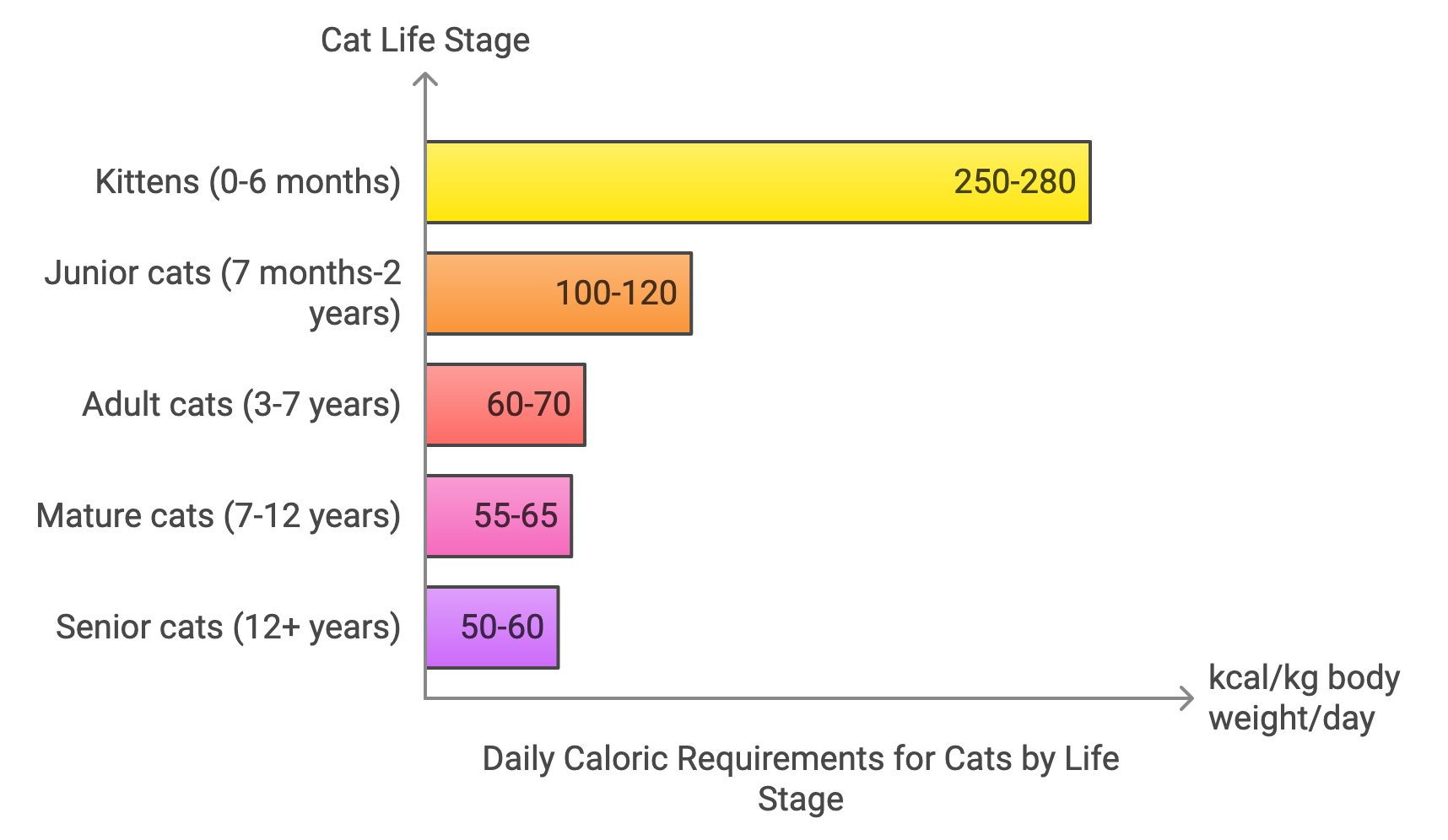 Daily Caloric Requirements for Cats by Life Stage