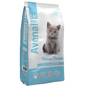 Avenal: Cat BabyCat