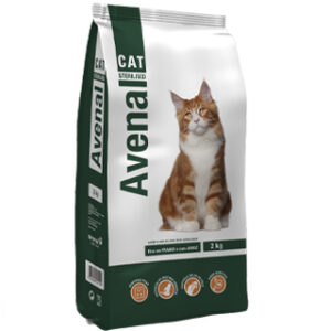 Avenal: Cat Sterilised